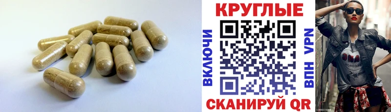 магазин продажи наркотиков  Павлово  блэк спрут   ЭКСТАЗИ бентли 