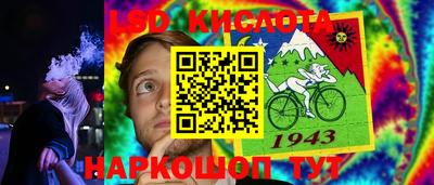 шишки Гай