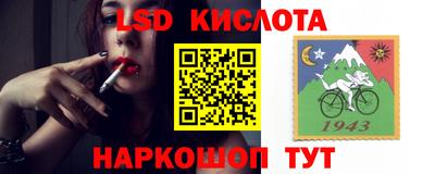 шишки Гай