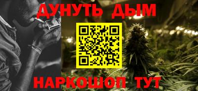шишки Гай