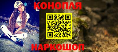 шишки Гай