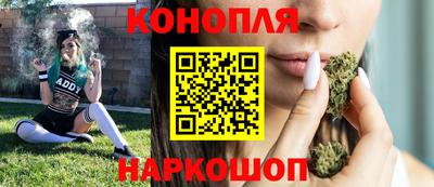 шишки Гай