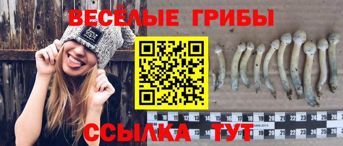 ЭКСТАЗИ Павлово