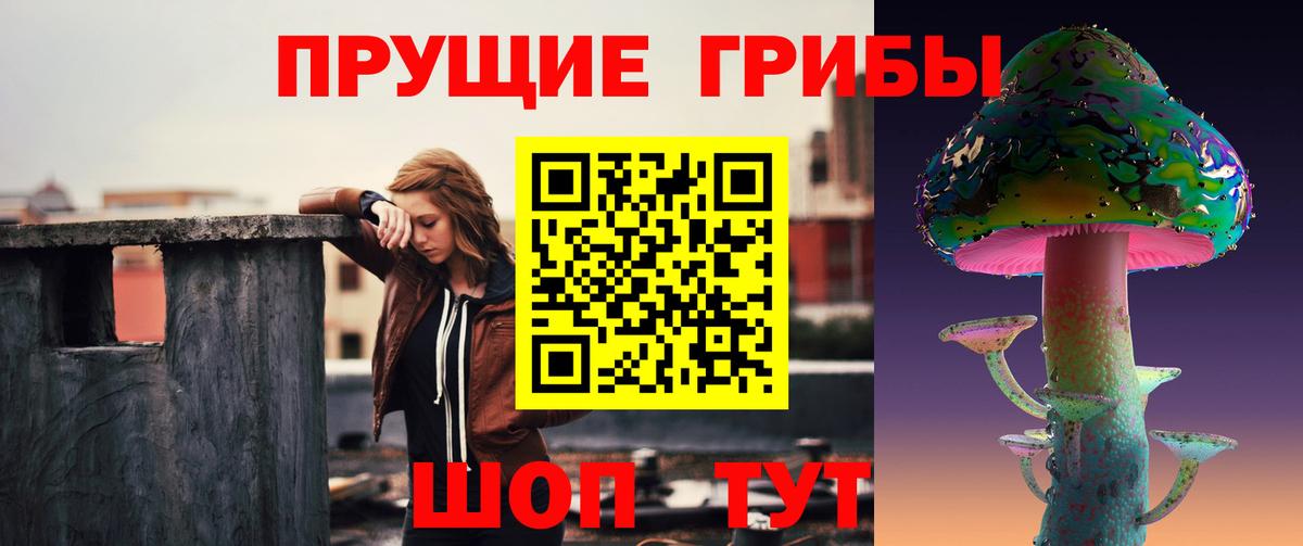 Псилоцибиновые грибы GOLDEN TEACHER  купить наркотик  Павлово  Вход с VPN 